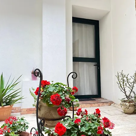 Antema - Centro Storico Apartman *